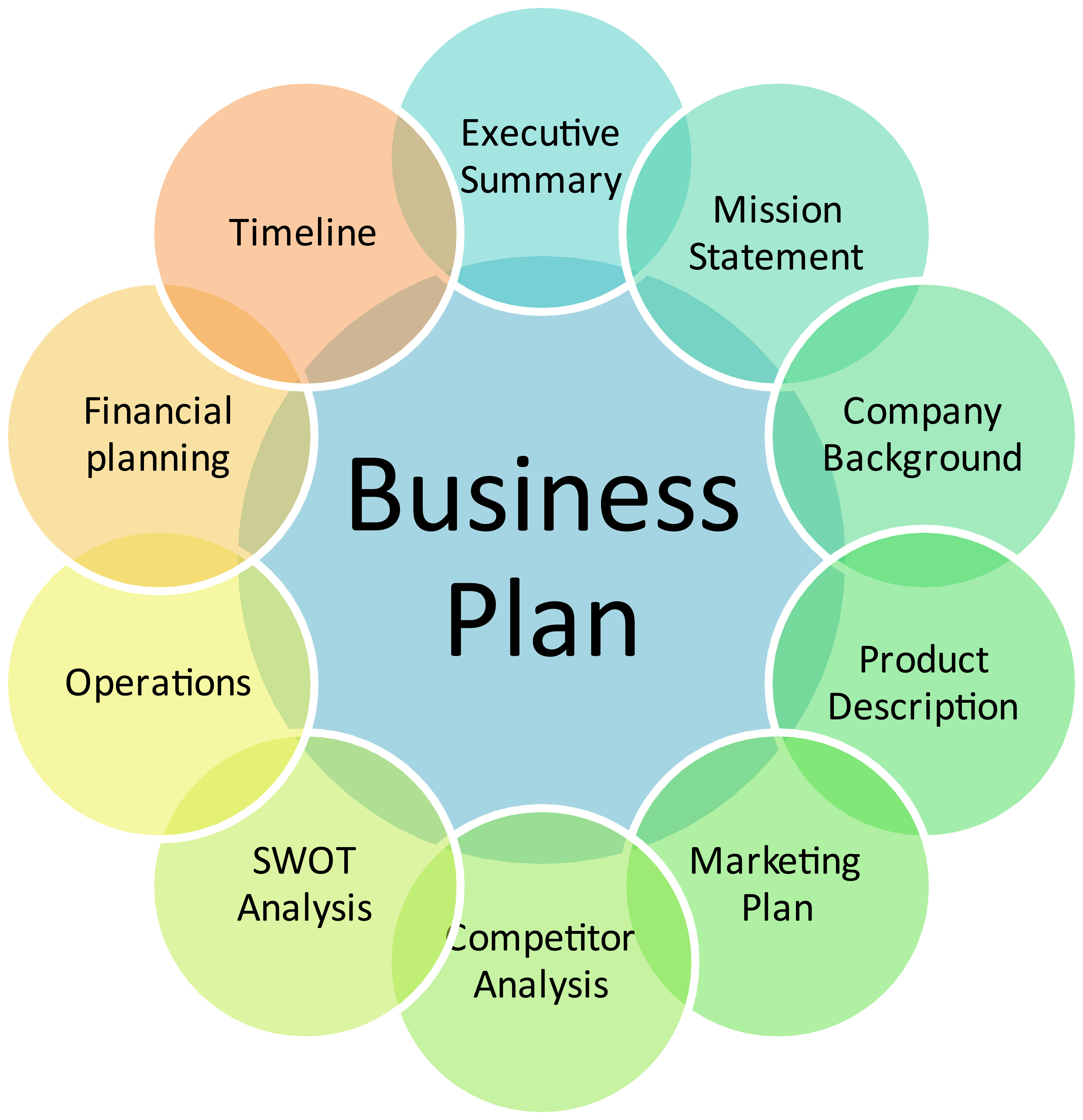business plan management section